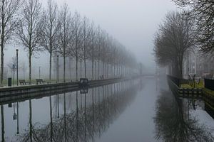 schöne Spiegelung einer Baumreihe im Wasser