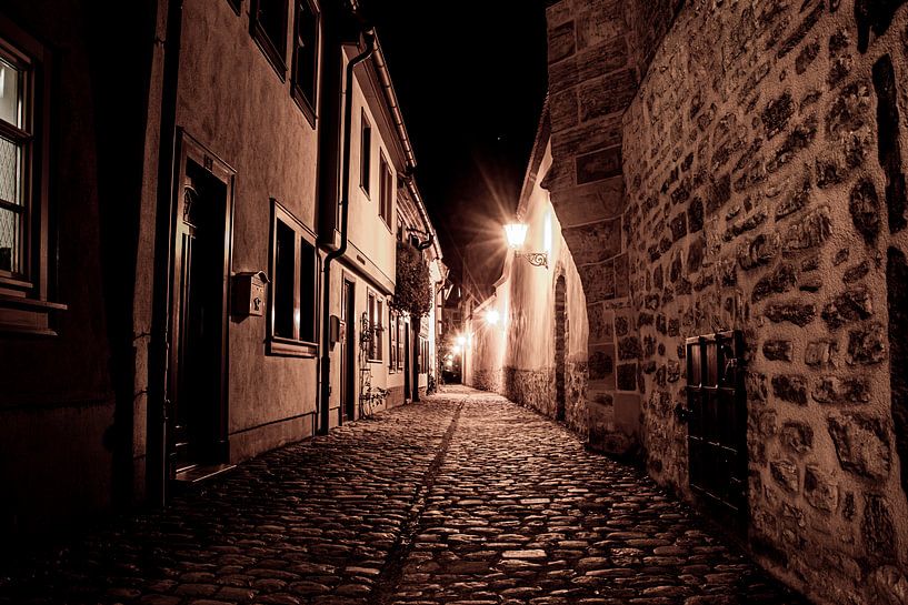 Erfurt's old town by David Krause