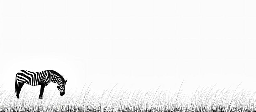 Zebra on a meadow by Frank Heinz