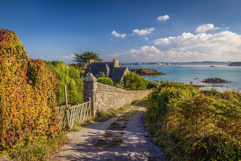 Weg zum Hafen auf der Ile de Batz, Bretagne von Christian Müringer