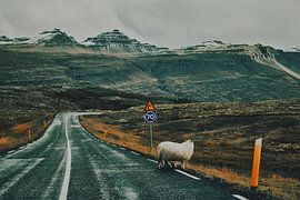 Speed limits Iceland by Kajra Vandendriessche