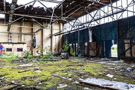 32 by Frank Herrmann