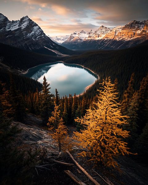 De ziel van de aarde van fernlichtsicht