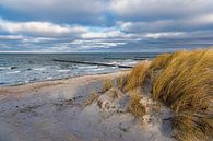 Duin en kribben op het strand van de Oostzee op Fischland-Darß van Rico Ködder thumbnail