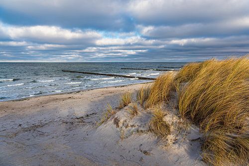 Düne und Buhnen am Strand der Ostsee auf dem Fischland-Darß