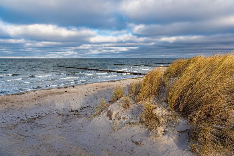 Düne und Buhnen am Strand der Ostsee auf dem Fischland-Darß von Rico Ködder