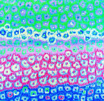 abstracte bloemen als streeppatroon van Claudia Gründler