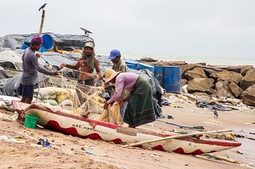 Auf dem Fischmarkt in Negembo von Ton Tolboom