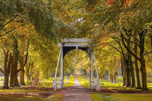 Toegangsbrug Midwolderbos via Ennemaborg van Rick Goede