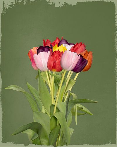 Bunch of tulips on green