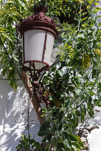 straatlantaarn aan de muur von Frans Versteden