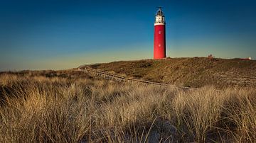 Texel-Leuchtturm auf Wadden-Insel von Twan van den Hombergh