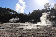 wai-o-tapu, volcanic park New Zealand by Pauline Nijboer thumbnail