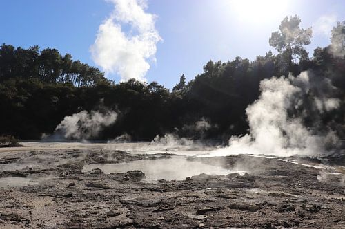 wai-o-tapu, vulkanisch park Nieuw zeeland