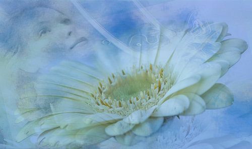 Ontspannen, wellness. Vrouw en bloem