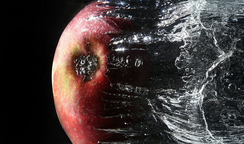 Apple by Jos Hug