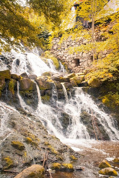 Small waterfall in the forest with moss on stones by Martin Köbsch