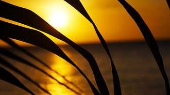 Sonnenuntergang