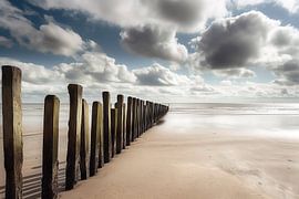 Posten am Strand am Meer von Monique Leenaerts