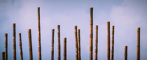 Windorgel op de boulevard van Vlissingen (Zeeland)