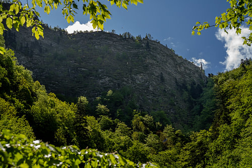 Focus on the Habitat and Scale