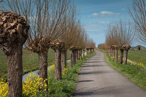 Frühling in der Korona-Zeit