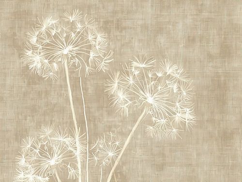 Les vents doux de l'été