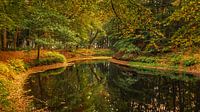 Autumn in the Slochterbos by Henk Meijer Photography thumbnail