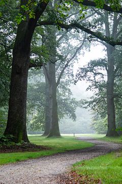 Kroondomein het Loo in de mist van Samantha Rorijs