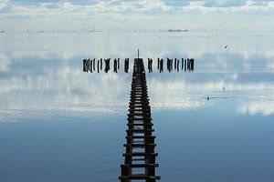 Kunst im Wasser