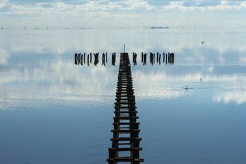 Kunst im Wasser von Greetje van Son