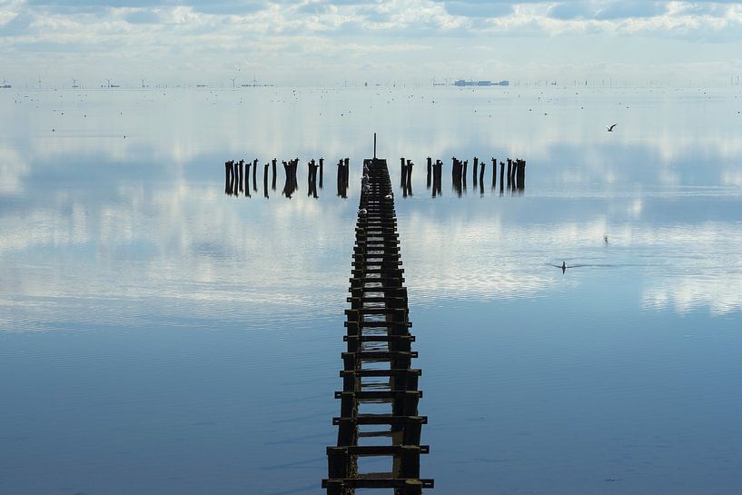 Kunst im Wasser von Greetje van Son