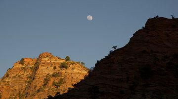 Maan boven Zion National Park van Bart van Wijk Grobben