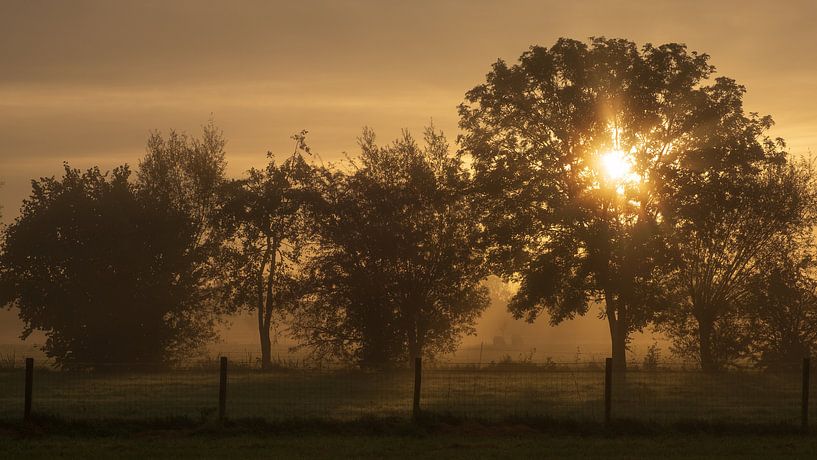 Zonsopgang op een mistige morgen par Erik Graumans