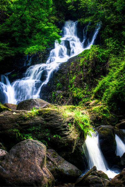 Torc-Wasserfall, Killarney-Nationalpark, Irland von Colin van der Bel