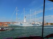 Wind star cruises zeiljacht van Joke te Grotenhuis thumbnail