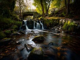 Waterval in een bos, foto Canon R7 Camera van Jan Bechtum
