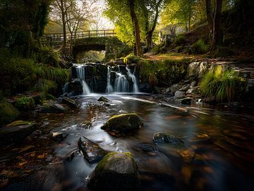 Waterfall in a forest, photo taken with a Canon R7 camera