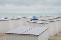 Sonnenschirm zwischen den Strandhütten von Arno Maetens Miniaturansicht