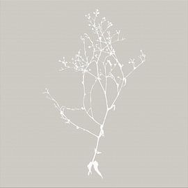 Botanica Delicata. Abstracte Retro Botanical in Mistig Grijs van Dina Dankers