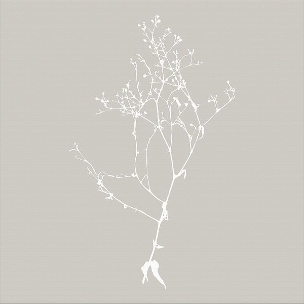Botanica Delicata. Abstract Retro Botanical in Misted Grey by Dina Dankers