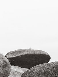 Breton Stones V von Michael Schulz-Dostal