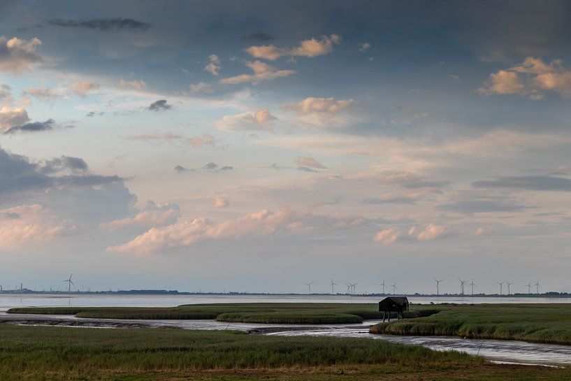 Bird tipping box New-Statenzijl by Anjo ten Kate