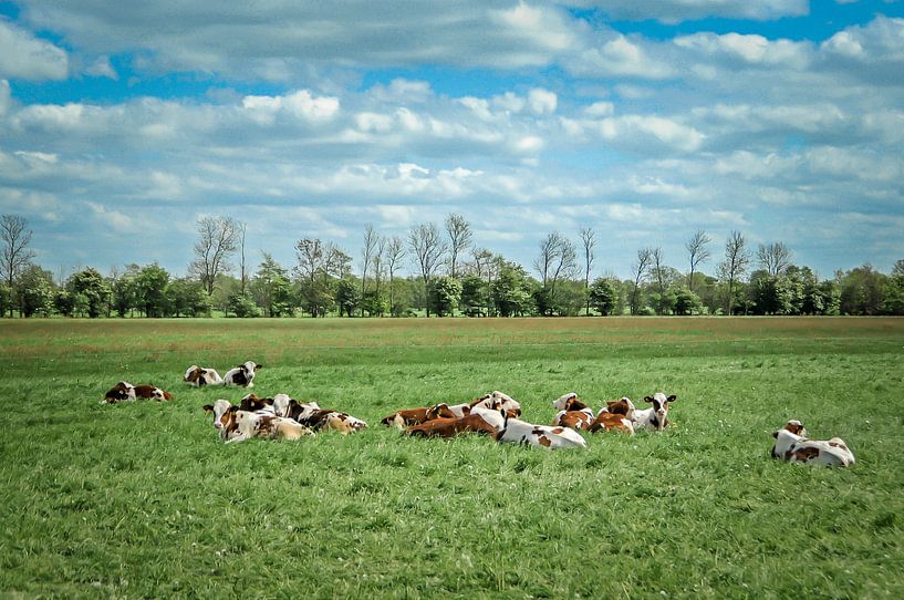 Oer Hollands Landschap by Marjan Kooistra