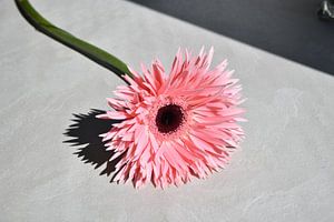 Fleurs romantiques