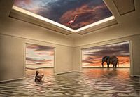 Noach's room