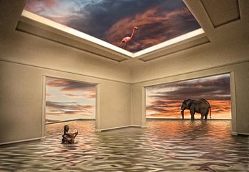 Flamingos, Flusspferde und Elefanten. von Marcel van Balken