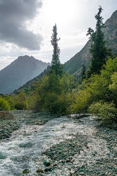 Bäume an einem Fluss in Kirgisistan von Mickéle Godderis