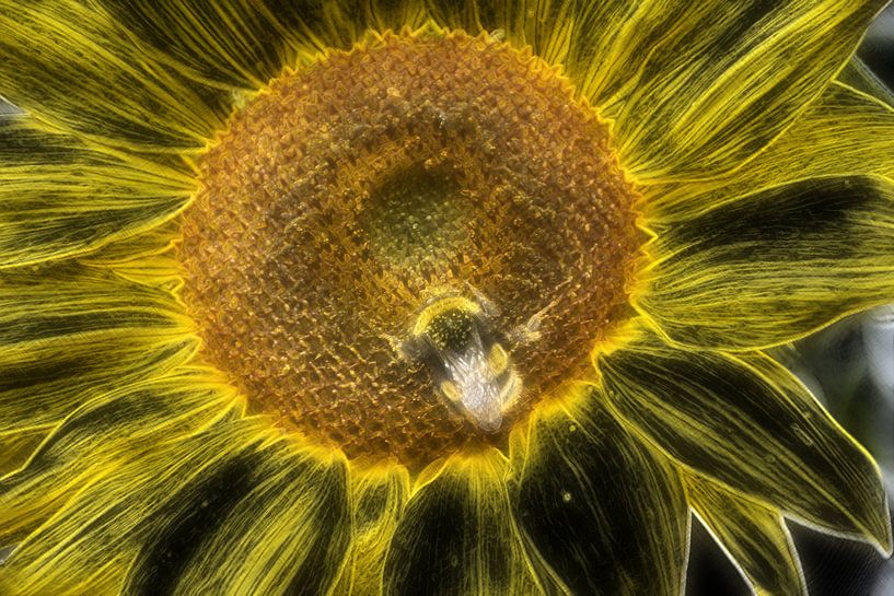 Kristallblume par Edgar Schermaul