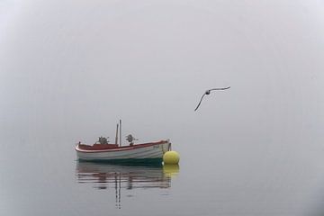 Boot in de mist von Ronald Jansen